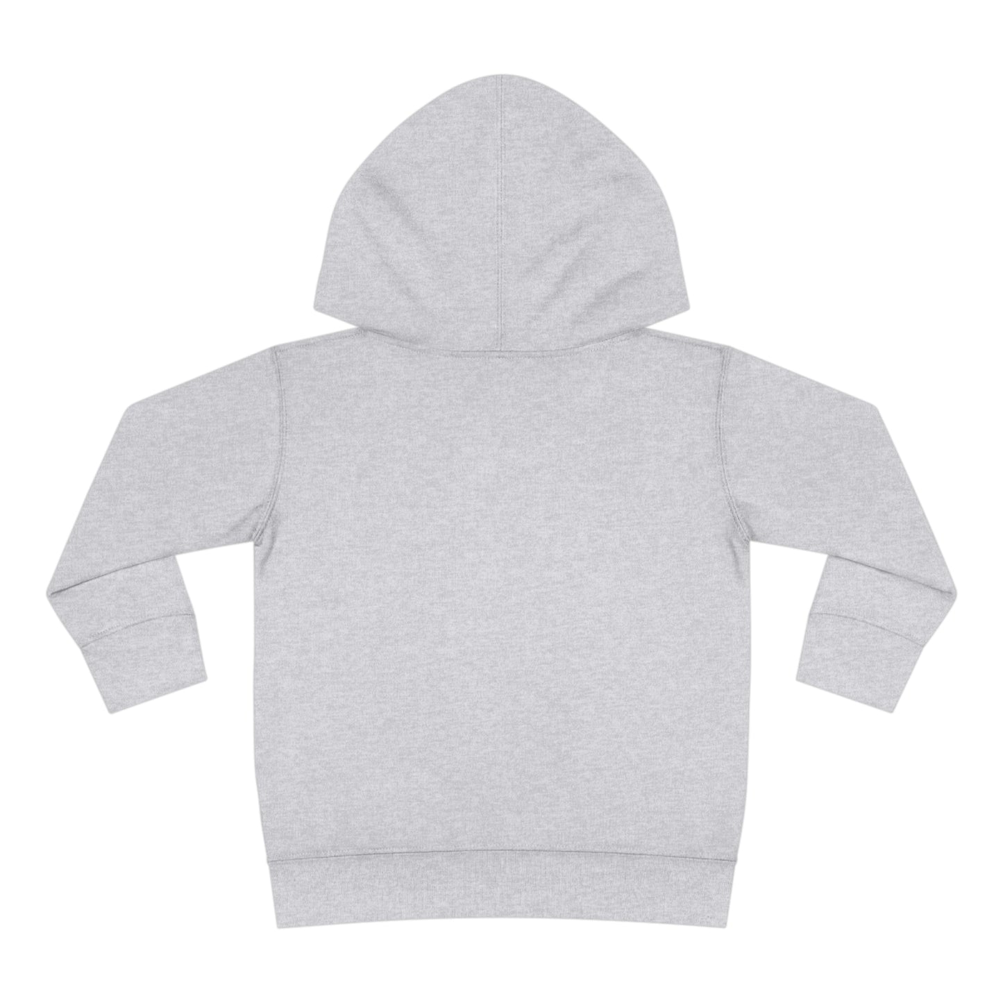 Family Heals - Toddler Pullover Fleece Hoodie